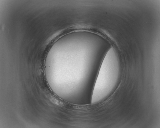 X0000082141213200701190949