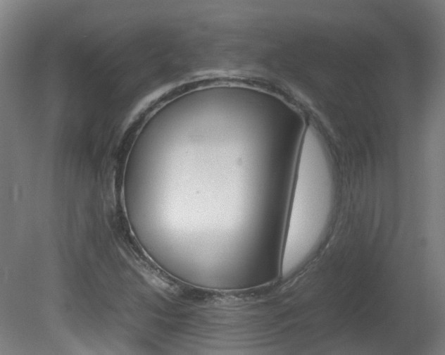 X0000082141214200701190949