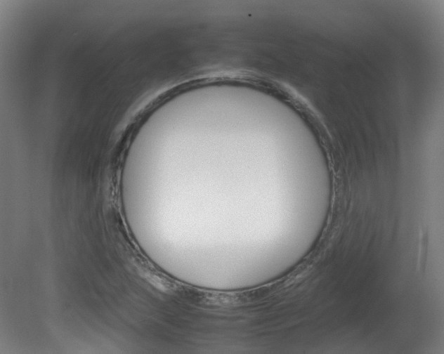 X0000082141215200701190949