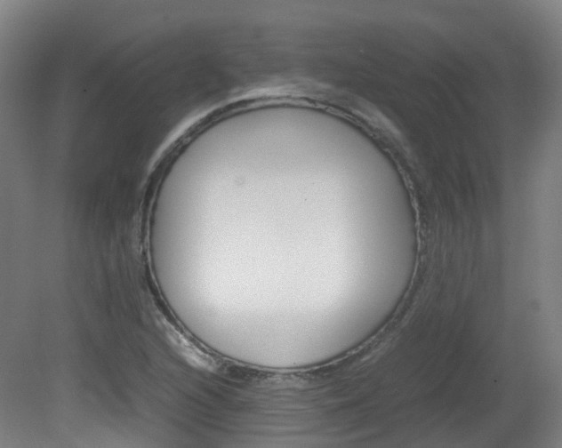 X0000082141216200701190949