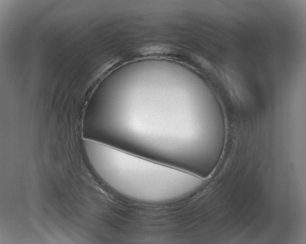 X0000082141217200701190949