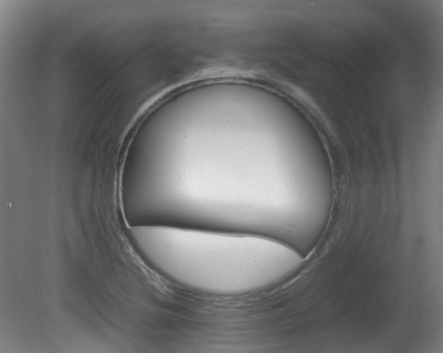 X0000082141220200701190949