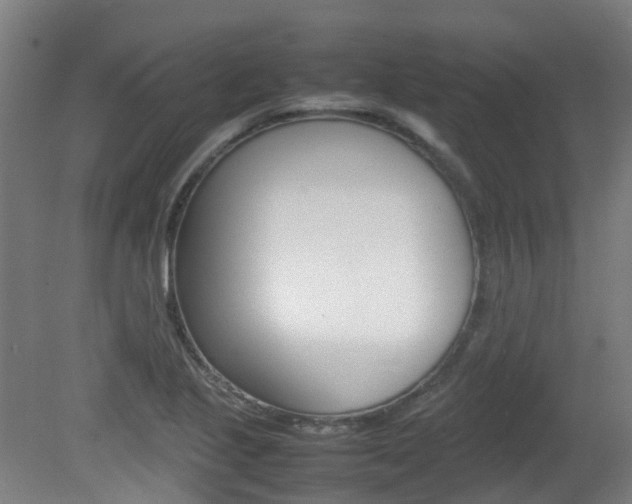 X0000082141221200701190949
