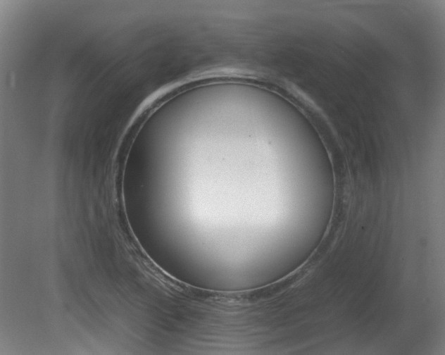 X0000082141222200701190949