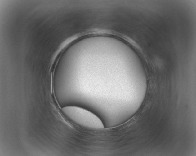 X0000082141223200701190949