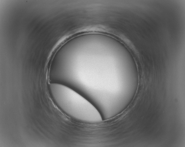 X0000082141224200701190949