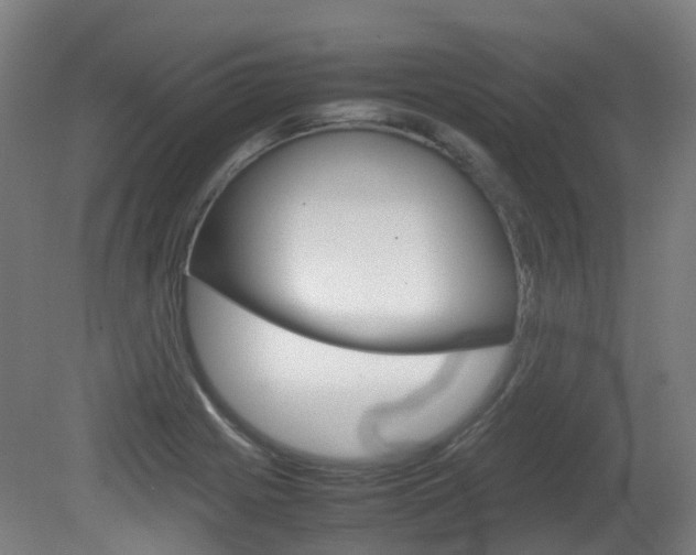 X0000082141225200701190949