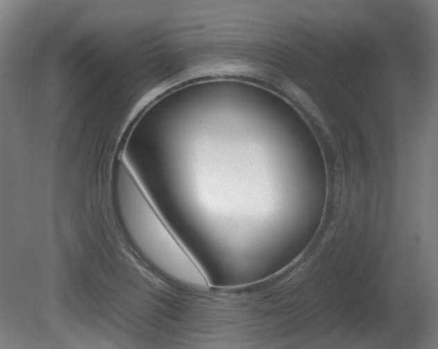 X0000082141226200701190949