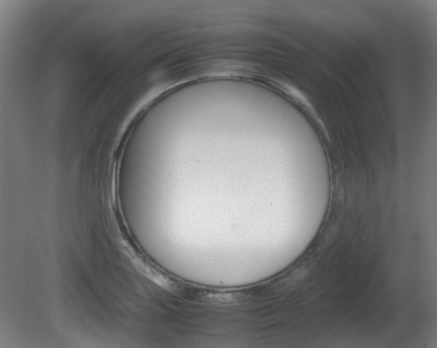 X0000082141227200701190949