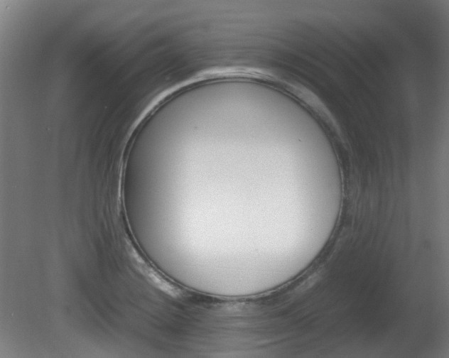 X0000082141228200701190949
