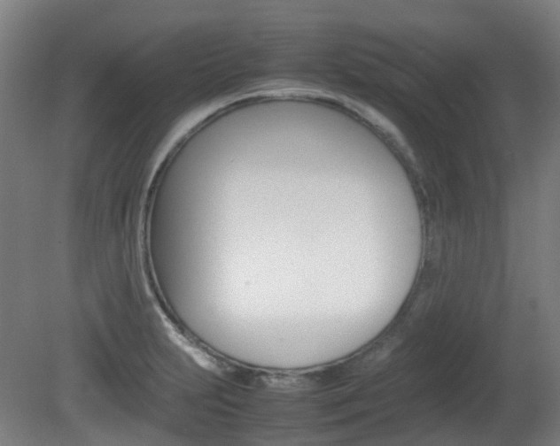 X0000082141231200701190949
