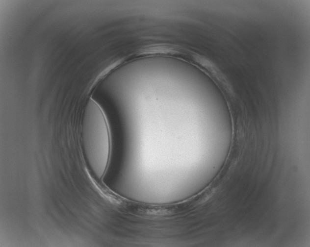 X0000082141233200701190949
