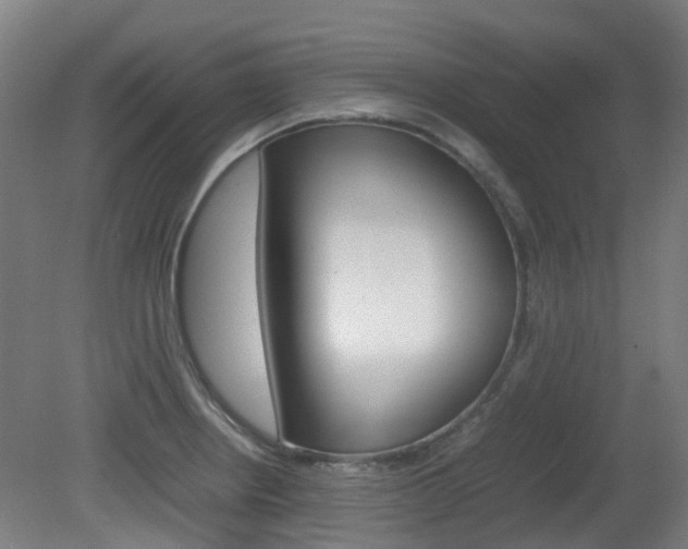 X0000082141234200701190949