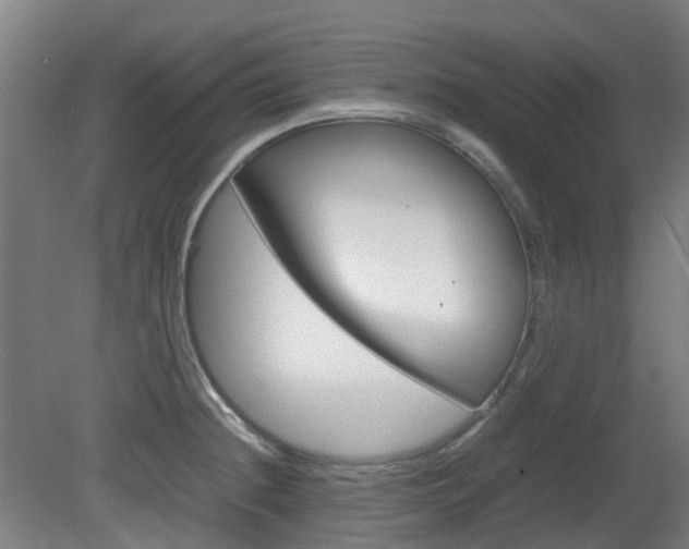 X0000082141236200701190949