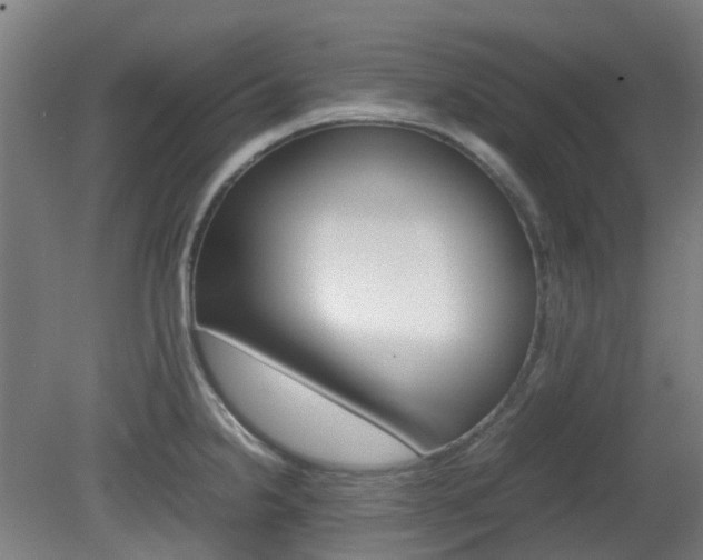 X0000082141238200701190949
