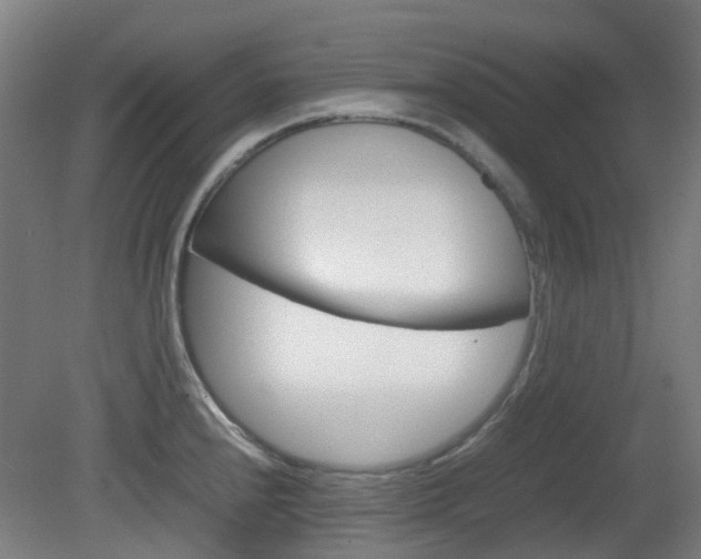X0000082141240200701190949
