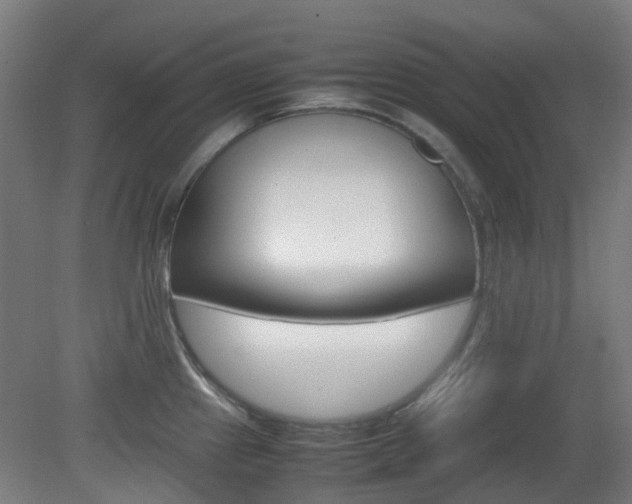 X0000082141241200701190949