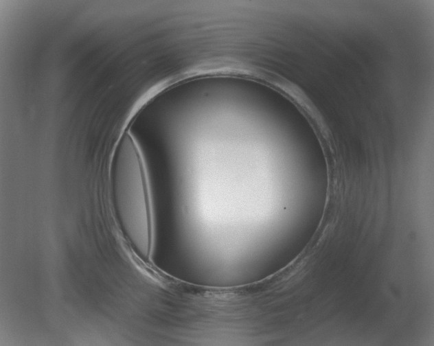 X0000082141242200701190949
