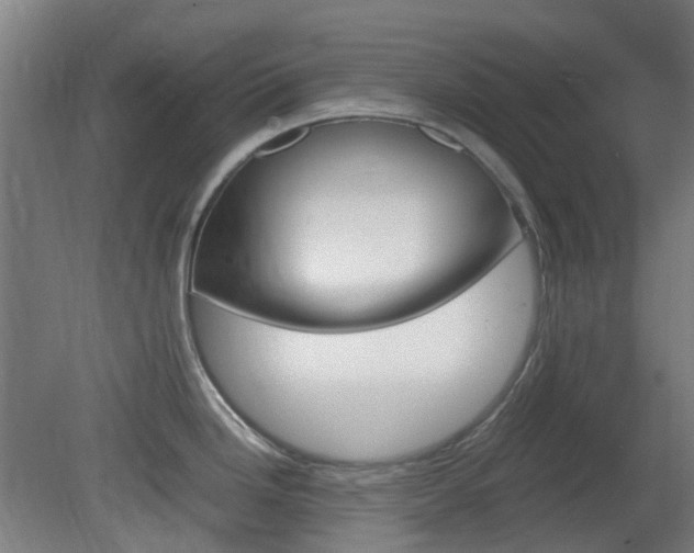 X0000082141246200701190949