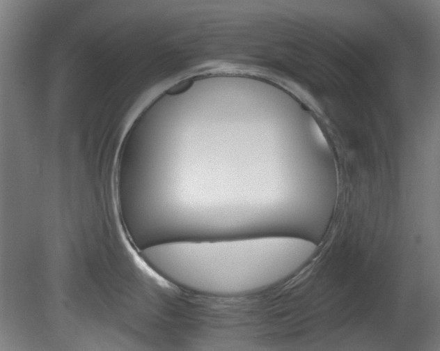 X0000082141247200701190950