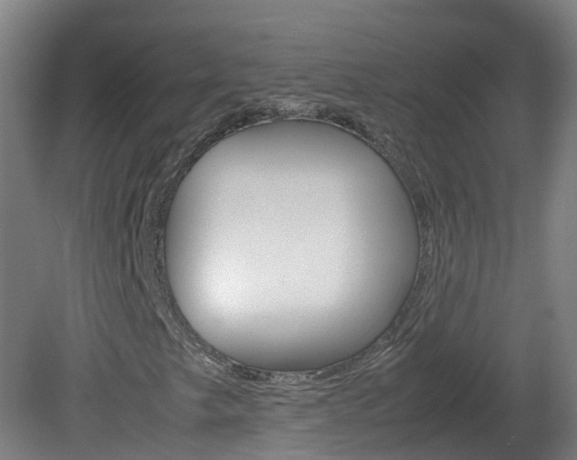 X0000082141249200701190949