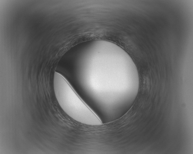 X0000082141250200701190949