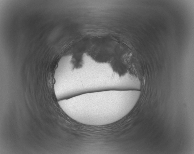 X0000082141251200701190949