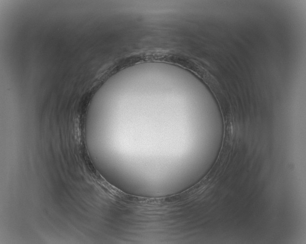 X0000082141252200701190949