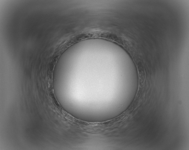 X0000082141253200701190949