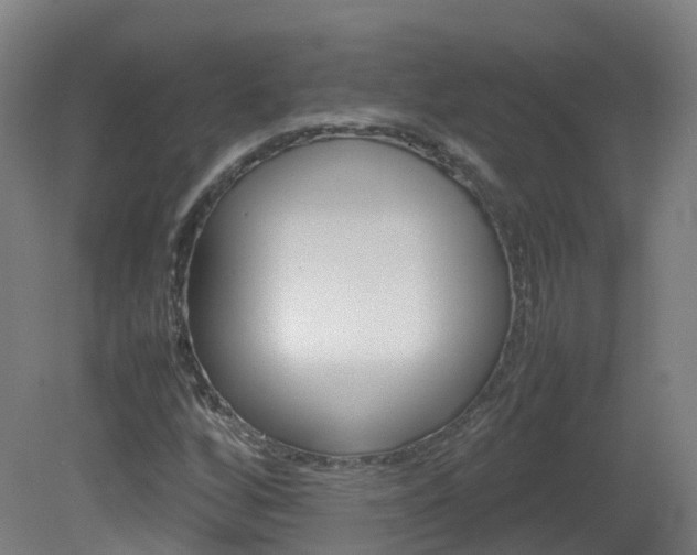 X0000082141256200701190949