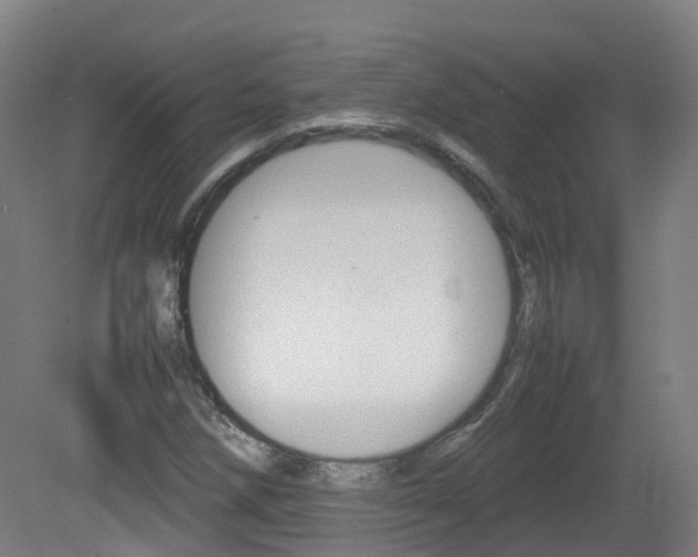 X0000082141258200701190949