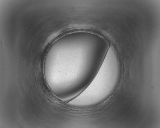 X0000082141261200701190949