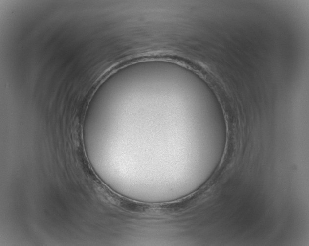 X0000082141265200701190948