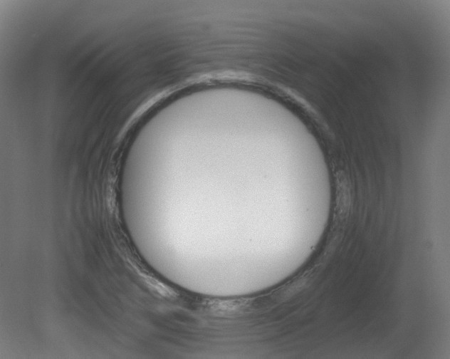 X0000082141266200701190948