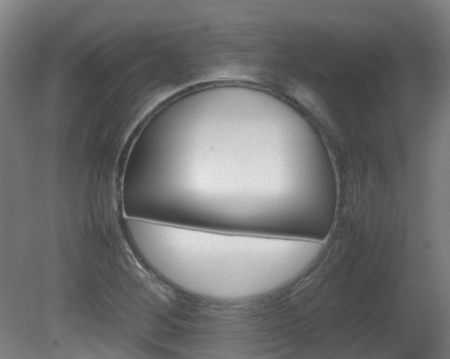 X0000082141268200701190948