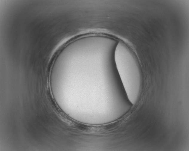 X0000082141271200701190948
