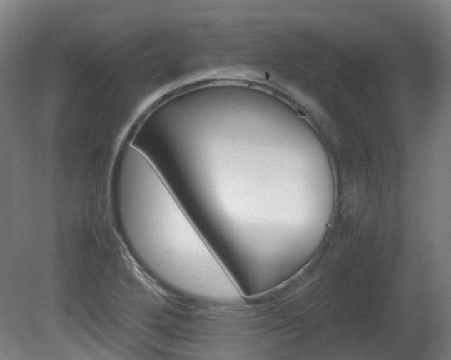 X0000082141272200701190948