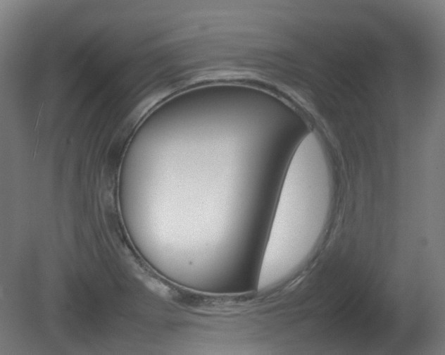 X0000082141273200701190948