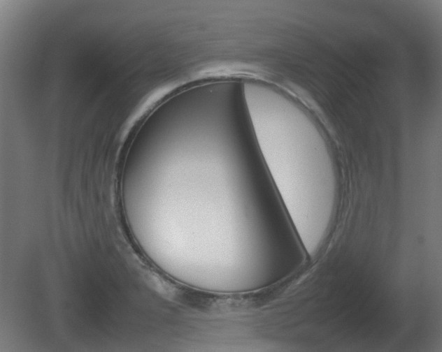 X0000082141277200701190948