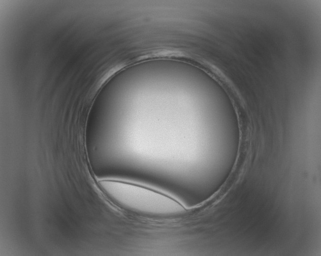 X0000082141281200701190948