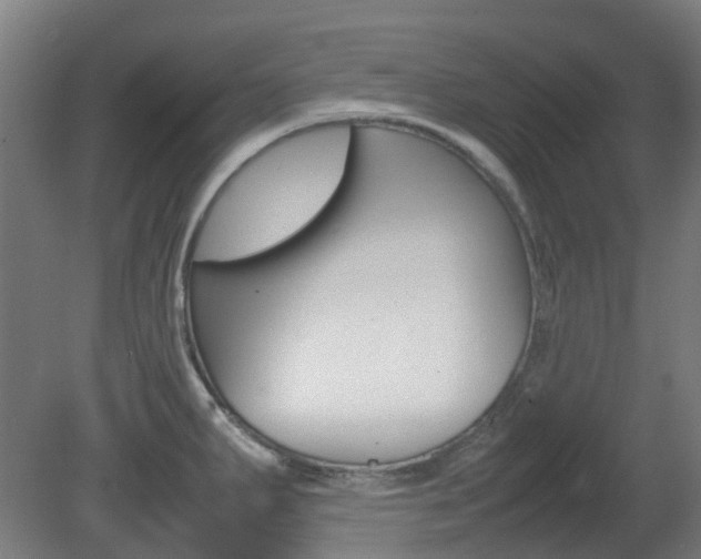X0000082141287200701190948