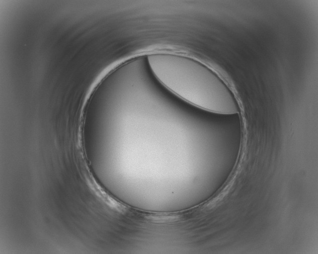 X0000082141296200701190948