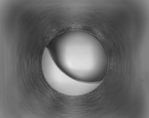 X0000082141298200701190947