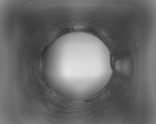 X0000082141299200701190947