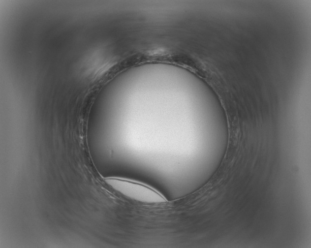 X0000082141301200701190947