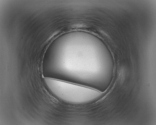 X0000082141305200701190947