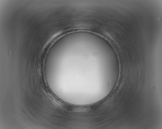 X0000082141307200701190947