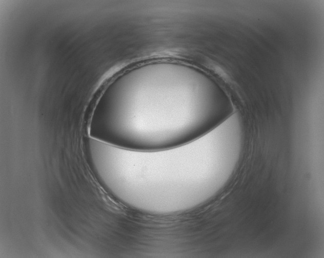 X0000082141308200701190947
