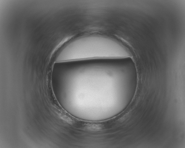 X0000082141309200701190947