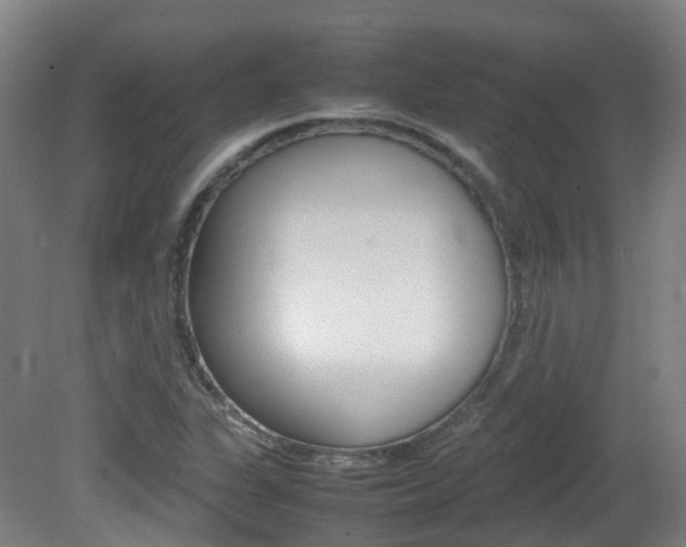 X0000082141311200701190947
